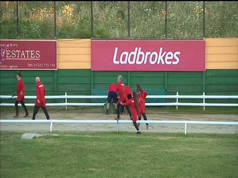 Droopys Dresden Ladbrokes Gold Collar Final Crayford 26/06/18