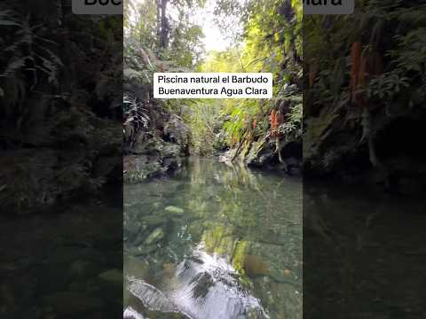 Destinos paradisíacos ocultos de Agua Clara Buenaventura Valle del Cauca #turismo #travesia #travel