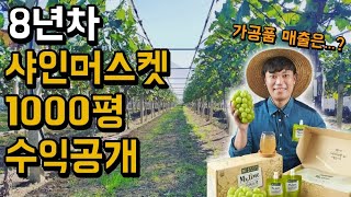 샤인머스켓 가공해 대기업에 납품한 32살 청년농부. 8년차 포도 농부의 수익은...? [경산 샤인머스켓] 샤…
