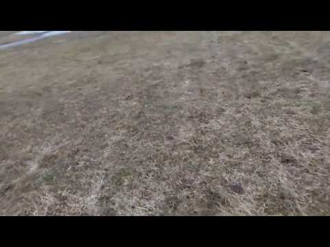 Laura Koit Toome Verona