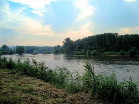 Darkwood Dub - Vavilon Spori