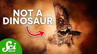 5 Animals That Aren't Dinosaurs