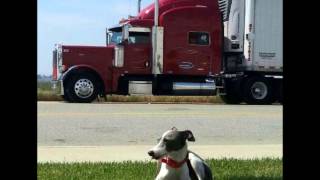 Jason Aldean Asphalt Cowboy Tribute