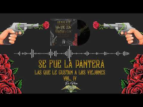 Revolver Cannabis - Se Fue La Pantera "Audio"