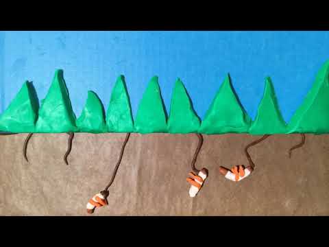 Bad Bugs - Claymation Animation by Bryn Wright (age 10)