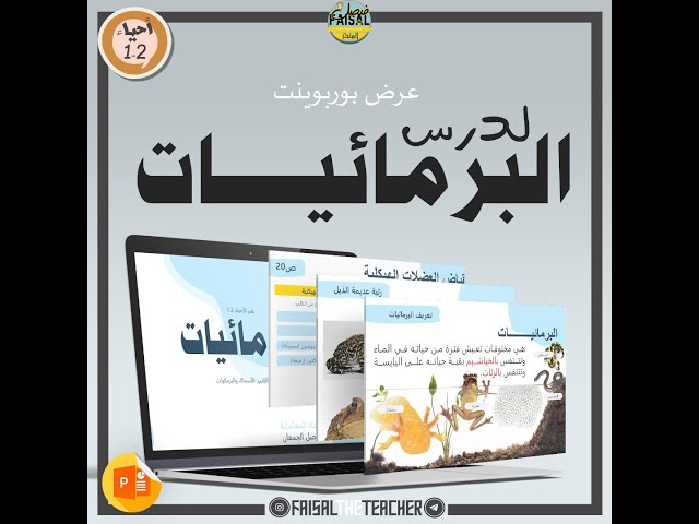 عرض درس البرمائيات