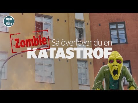 Så överlever du en (zombie)katastrof – eller en samhällskollaps