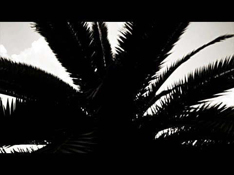 Video thumbnail for Kill Yourself (Part II)