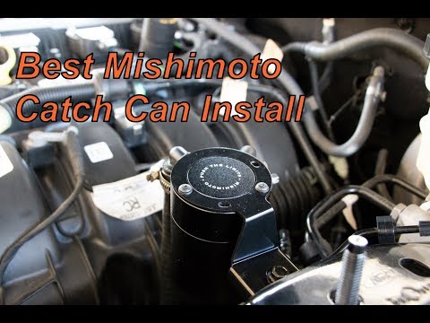 MISHIMOTO Catch Can Install: 2018 EcoBoost Mustang