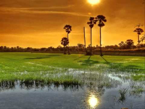 กลากของวิตามินสังเคราะห์ ครีม podsushivayuschee กลาก