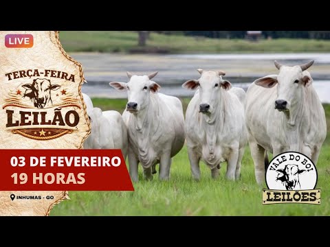 VALE DO BOI LEILOES - INHUMAS GO  - LEILAO VIRTUAL E PRESENCIAL -   03 /02 2026
