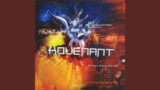 Through the Eyes of the Raven