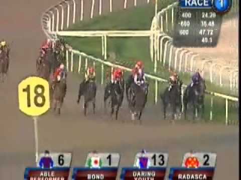 20101008 SG CLASS 5 1200M (POLYTRACK) - MEGA HILL (R Fradd)