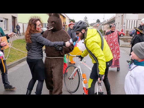 Na Holešovsku spatřeni medvědi