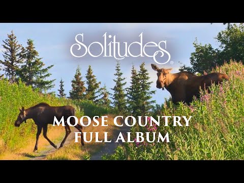 1 hour of Relaxing Music: Dan Gibson’s Solitudes - Moose Country (Full Album)