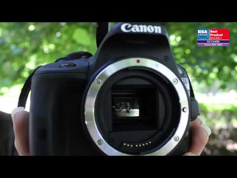 EUROPEAN SLR CAMERA 2013-2014 - CANON EOS 100D