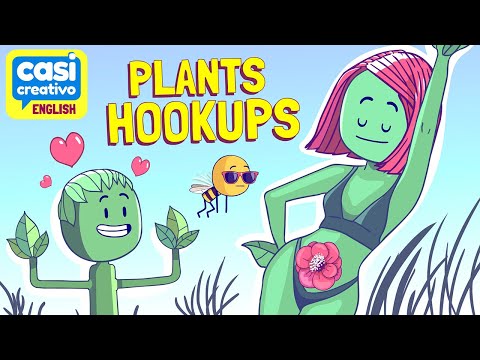 植物の接続方法 (How Plants Hook Up)