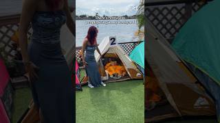 Homeless people living in my backyard