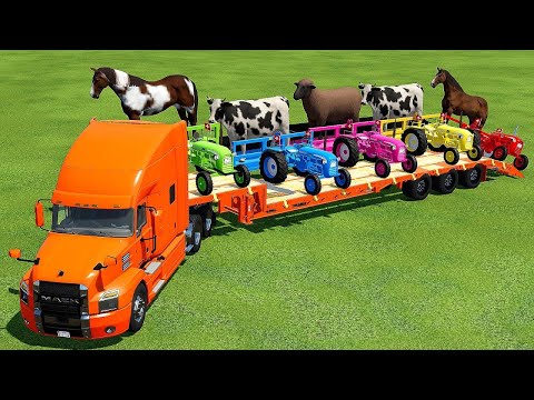 TRANSPORT OF ANIMALS WIT COLORED BUCHE TRACTORS & MACK TRUCK- Farming Simulator 22
