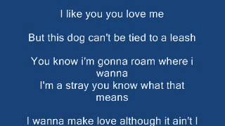 girl im tryin lyrics by j-brazil  (official music)