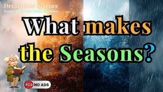 How Seasons Shape Our World