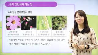 [동아출판] 백점 시리즈 초등 6학년 백점 과학 - 4. 식물의 구조와 기능 _꽃의 생김새와 하는 일