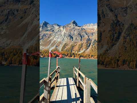 📍 Lake Sils, Switzerland 🇨🇭Follow for daily Swiss Content 🇨🇭