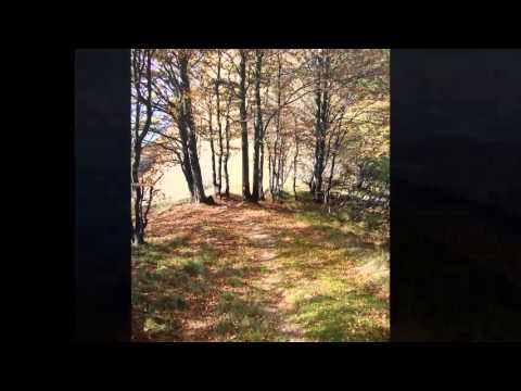 Ländler-Musik: Echo vom Pfannästock - Mischtmannä vom Schwarzäbach is Huobli