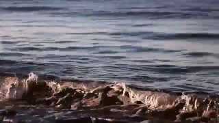 At the beach by The Avett Brothers Music Video