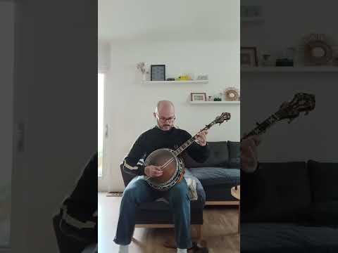 Aria Custom Made tenor Banjo 1970 image 6
