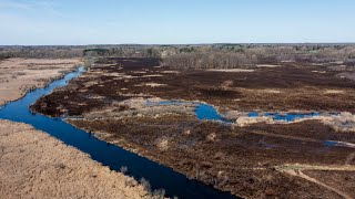 Drone shows aftermath of 300-acre wetland fire near Jackson