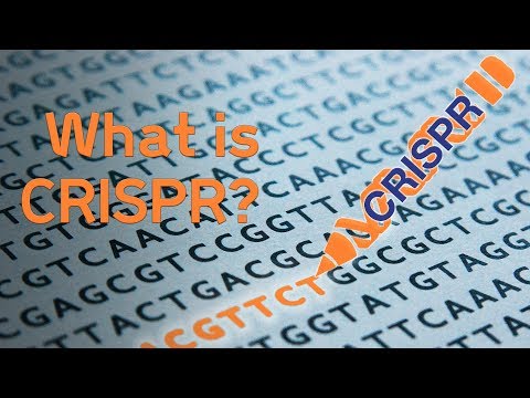 Sanger Institute - What is CRISPR?