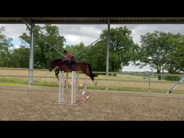 Under the saddle