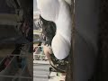 MEI MEI CHAN LIVE TIKTOK KETIDURAN