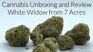 Cannabis Unboxing & Review | White Widow from 7 Acres