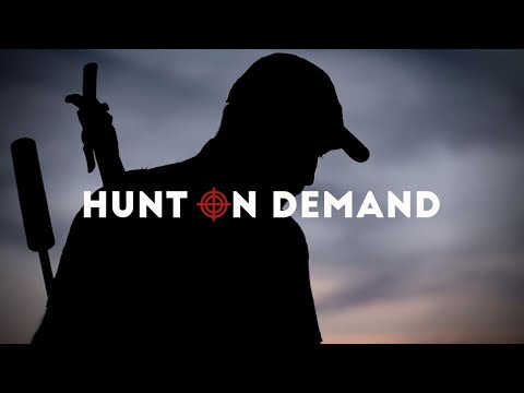 Sauenjäger I Auf Weizenkrokodile - Dreispross Hunt on Demand Trailer