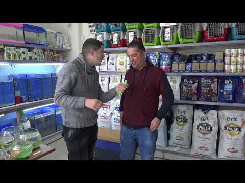 Baskia - Prishtina // Humor 2019