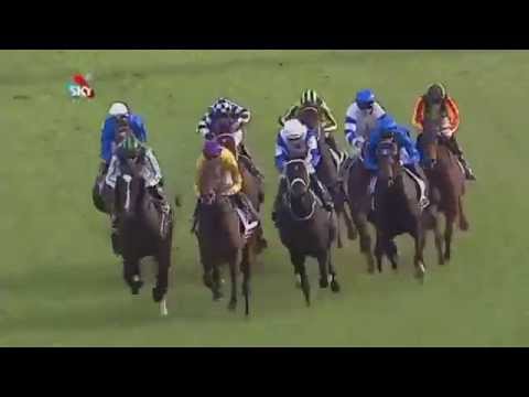 2015 GEORGE MAIN STAKES - Kermadec