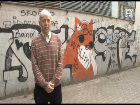 TV KANAL 9, NOVI SAD: NOVOSADSKI ŽARGON ŠIROKO SE ČUJE