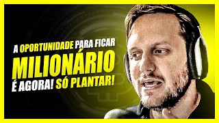 BITCOIN E CRIPTOMOEDAS DANDO OPORTUNIDADE PARA VOC PLANTAR E FICAR MILIONRIO - AUGUSTO BACKES