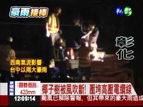 被風吹垮了! 椰子樹壓斷電纜線