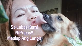 Download lagu EPISODE4312 Nasa labas kami ni puppy nagtambay langhap Ng preskong Hangin (maulap Ang Langit) mp3 Download lagu EPISODE4312 Nasa labas kami ni puppy nagtambay langhap Ng preskong Hangin (maulap Ang Langit) mp3