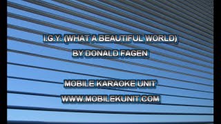 Donald Fagen - I.G.Y. (What a Beautiful World) [Karaoke]