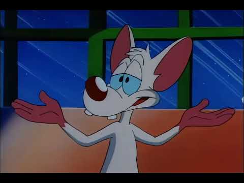 Pinky and the Brain - S01E01 - Das Mouse - Part 1 -