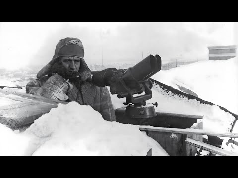 German Commanders Ignored Polish Rail Intelligence — Until 100 Train Movements Were Exposed