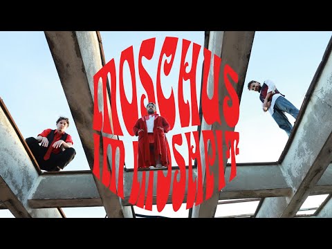 Medimeisterschaften Cluj 2024 - Moschus im Moshpit