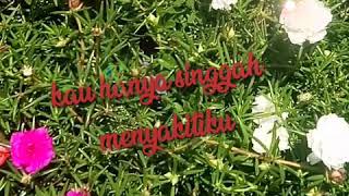Download lagu CINTA MEMBAWA DERITA mp3