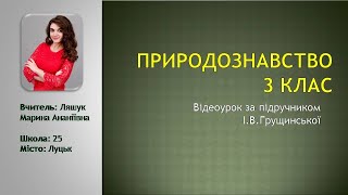 Природознавство