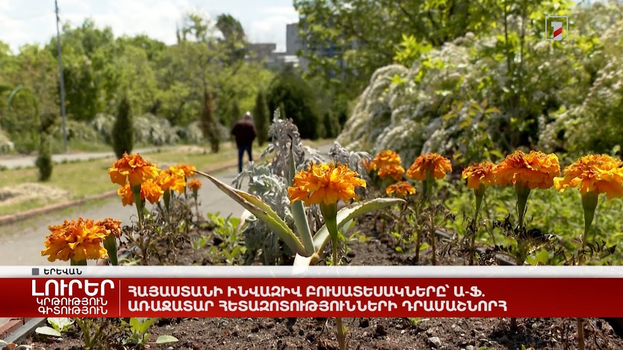 Հայաստանի ինվազիվ բուսատեսակները՝ Ա-Ֆ. առաջատար հետազոտությունների դրամաշնորհ