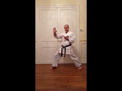 Kihons oizuki chudan soto uke pour débutants